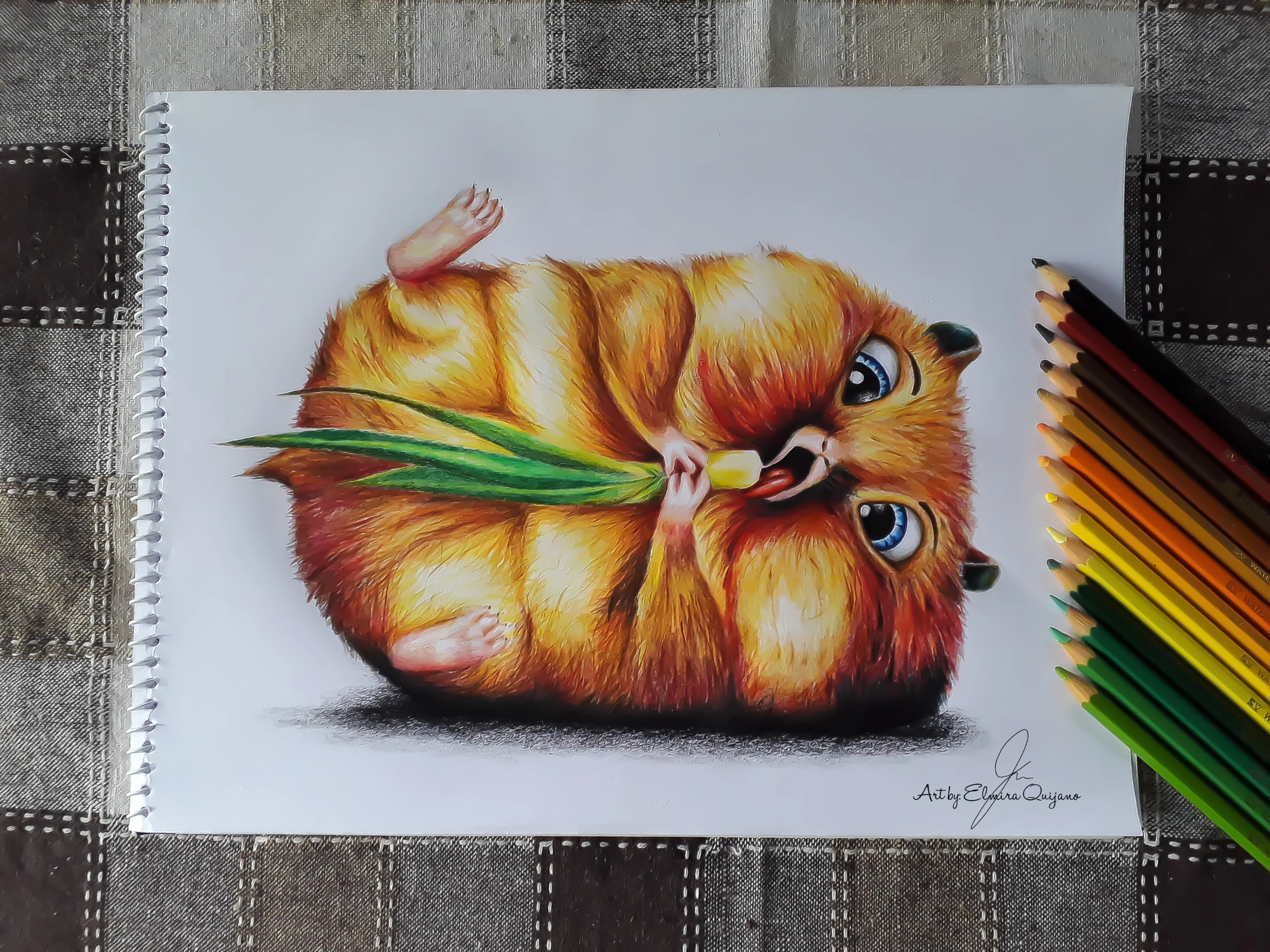 Hamster