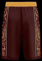 Short basketball back